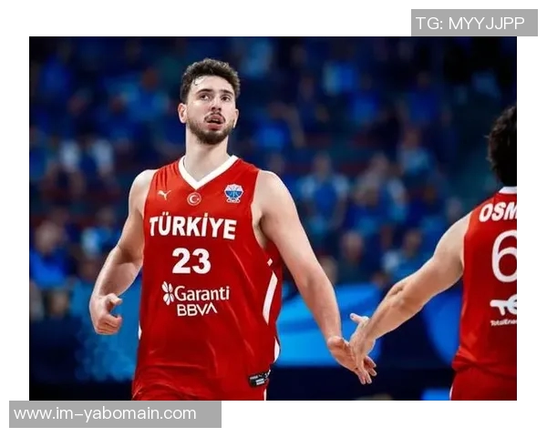 蒂格点评申京潜力称其接近约基奇水平引发热议